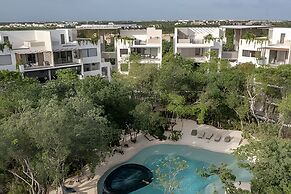 oasis yaaxlum