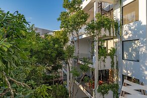 oasis yaaxlum
