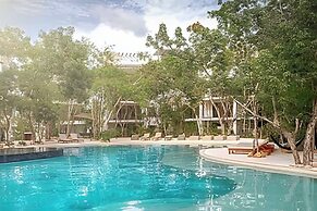 oasis yaaxlum