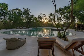 oasis yaaxlum