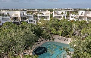 oasis yaaxlum