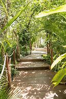 oasis yaaxlum