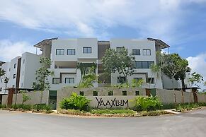 oasis yaaxlum
