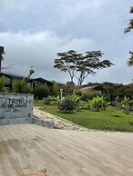 Alko Hotel Tribu del Viento