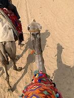 Moon life in Wadi Rum