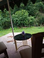 Ashoka jungle river resort