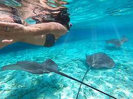 Hanifaru Beach Inn