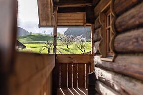 Hotel Julian Alps