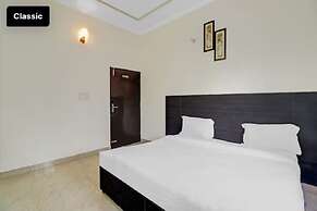 Hotel Olive Tree