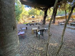Lodge Colbun