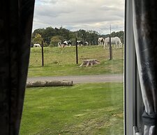 West Lawn 47 Haggerston Castle Paddock Views