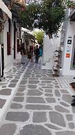 Old Town Traditional House