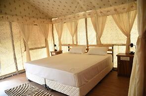nomadic soul camps