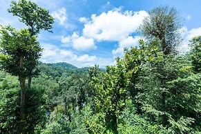 Treebo River View