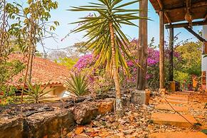 El Cogollo
