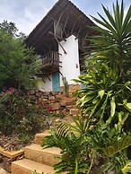 El Cogollo