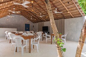 The Palm Ray