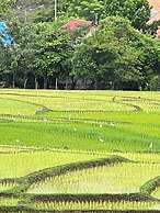 Garden House Rice Field and Mountain View