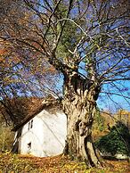 CasaZefira