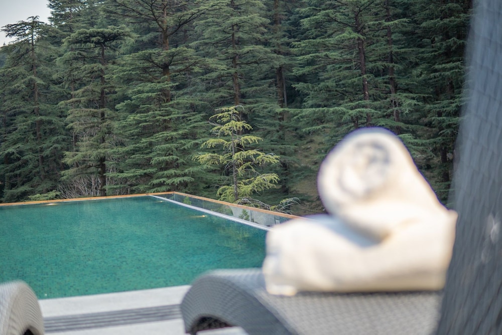 Mastiff Select Mandavya Dharamkot, McLeodganj