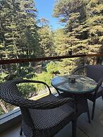 Mastiff Select Mandavya Dharamkot, McLeodganj