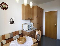 Wohnung in Ellefeld Nahe Skipisten