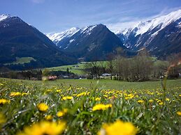 Penthouse in Wildkogel With Mountain Views