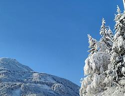 Penthouse in Wildkogel With Mountain Views