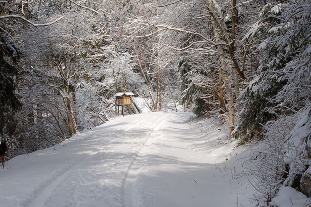 Doppelhaushalfte in Hasselfelde