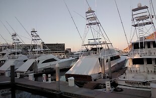 Marina Junior Suites