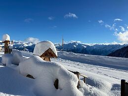 Alpine Pasture in the Zillertal Mountains