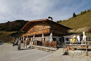 Alpine Pasture in the Zillertal Mountains