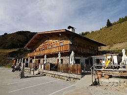 Alpine Pasture in the Zillertal Mountains