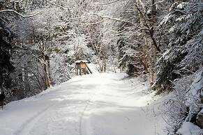 Log Cabin in Hasselfelde Near Harzer-hexen-stieg