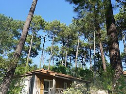 Moliets - Vacation Home With Terrace
