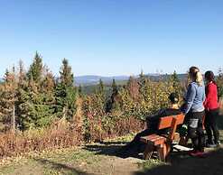 Apartment in Bad Sachsa Near Harz Mountains