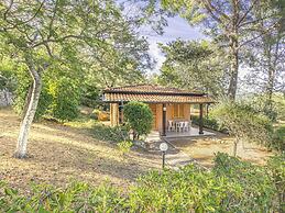 Holiday Complex With Pool in Andora