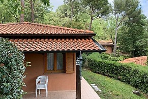 Holiday Complex With Pool in Andora