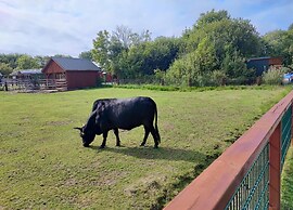 Ferienwohnung in St. Peter-ording