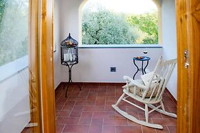 Villa in Vinci With Private Pool & Vineyard Views
