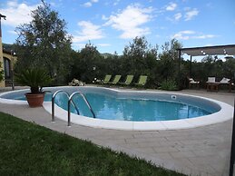 Villa in Vinci With Private Pool & Vineyard Views