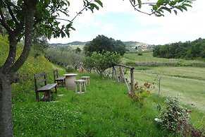 Villa in Vinci With Private Pool & Vineyard Views