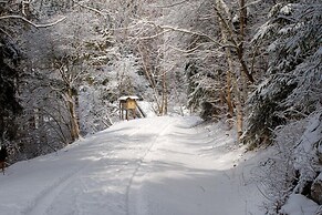 Doppelhaushalfte in Hasselfelde