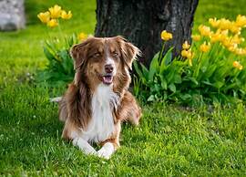 Ferienwohnung Tiefblick, Dornumersiel