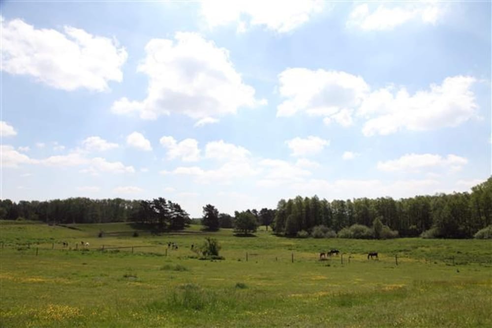 Reihenhaus Rotkehlchen, Lohmen