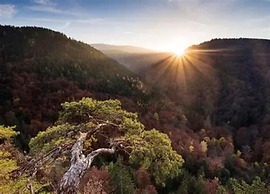 Apartment in Harz Near Brocken Railway