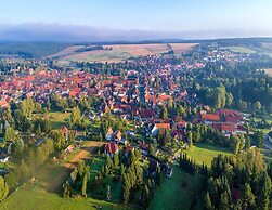 Doppelhaushalfte in Hasselfelde