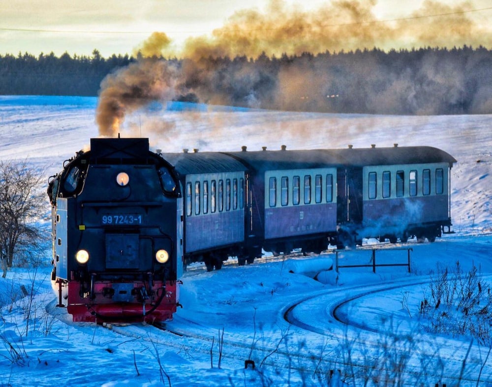 Doppelhaushalfte in Hasselfelde