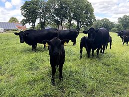 Reihenhauser in Strackholt
