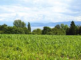 Chalet by Lake Constance With Alps Views